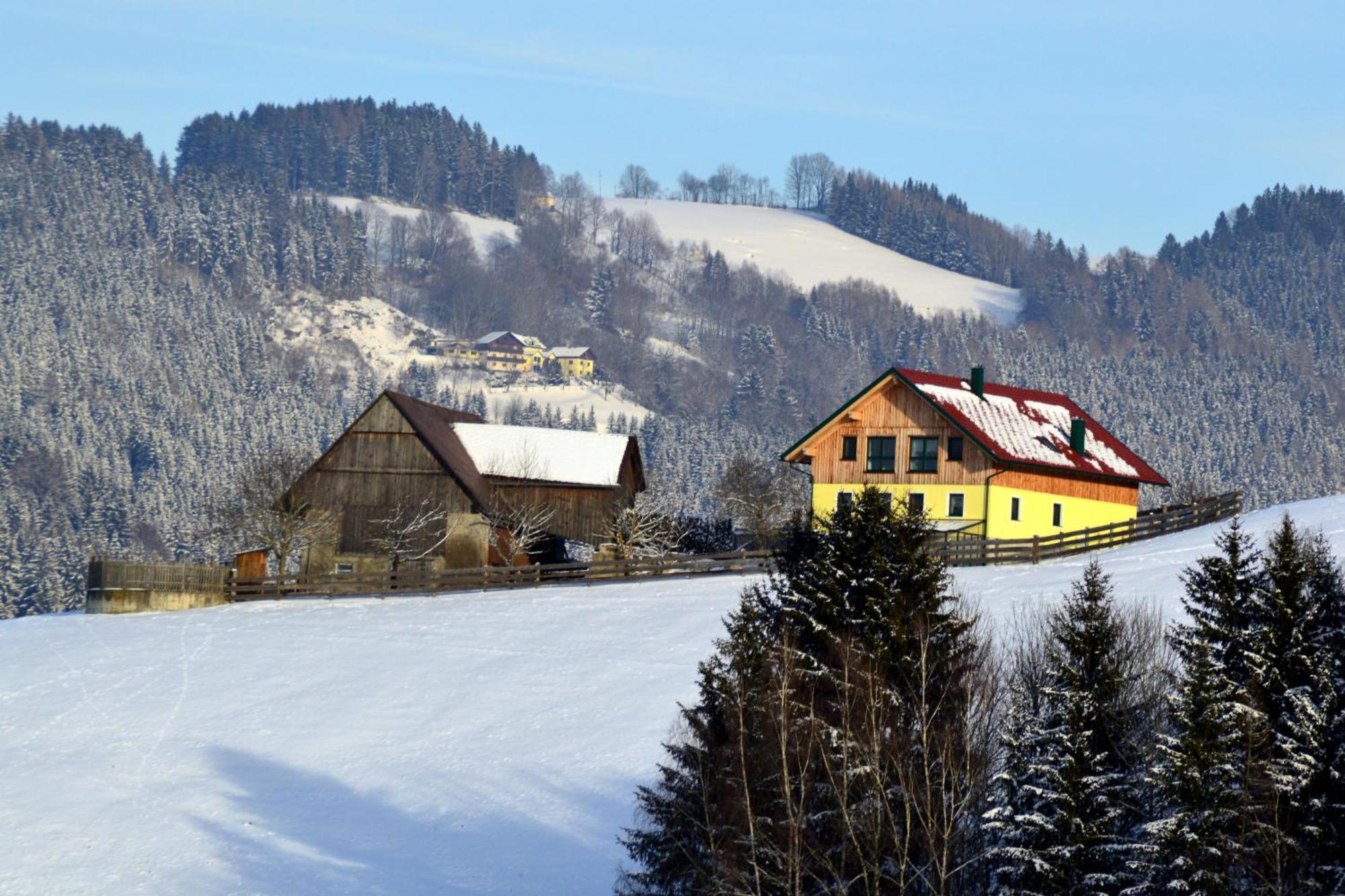 Almferienhaus Russmann Frantschach ภายนอก รูปภาพ