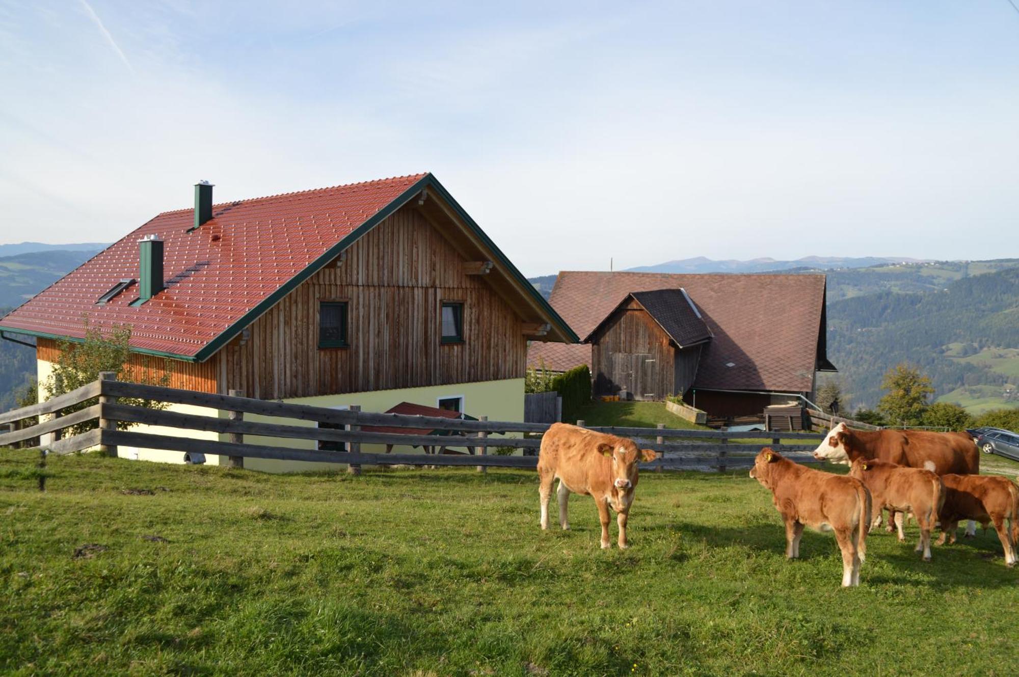 Almferienhaus Russmann Frantschach ภายนอก รูปภาพ