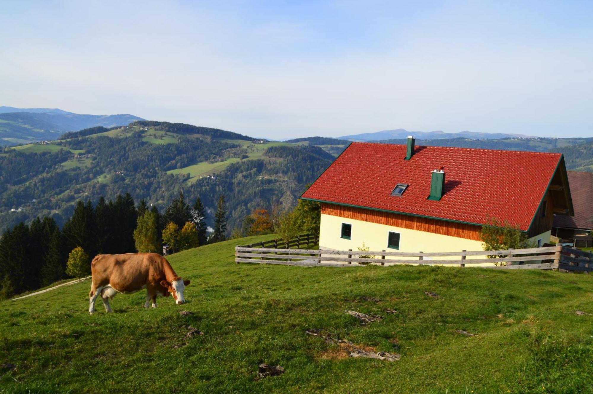 Almferienhaus Russmann Frantschach ภายนอก รูปภาพ